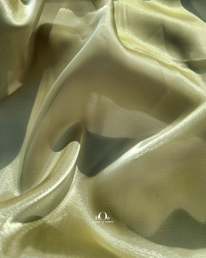 Glass organza with soft crisp fall – ideal for ruffle sarees and bridal overlays in Mumbai markets.