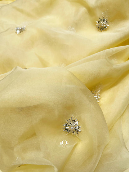 organza saree for woman. organza fabric supplier in Mumbai and surat.