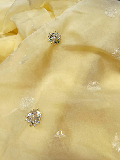 Printed organza fabric for dresses and cord sets. Imported organza fabric suppliers in Delhi.