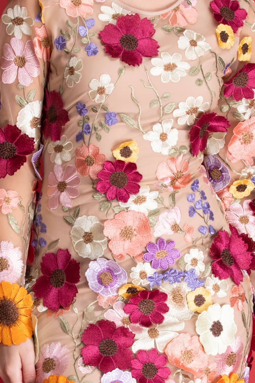 Stylish ladies floral mesh dress with embroidered blossoms for party and casual wear